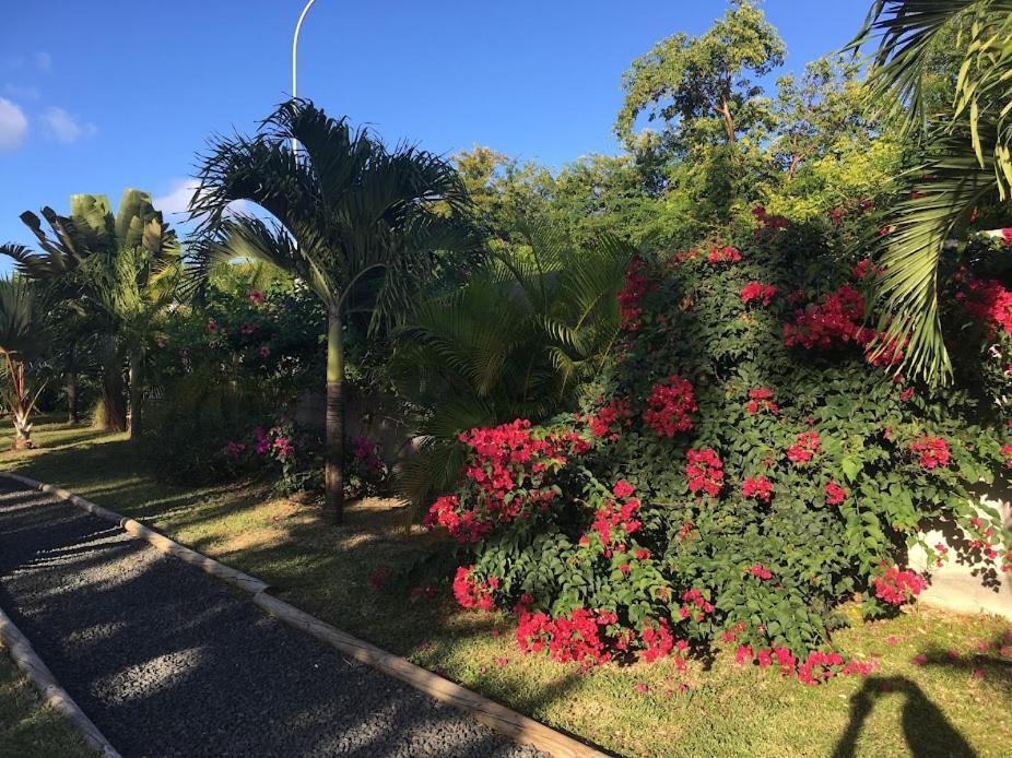 Villa La Belle Creole Saint-Francois  Eksteriør billede